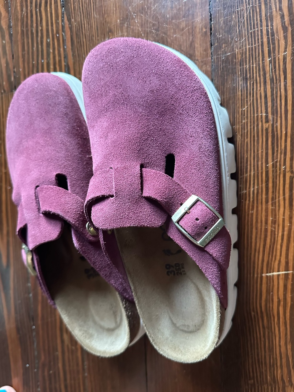 Papillio Plum clogs